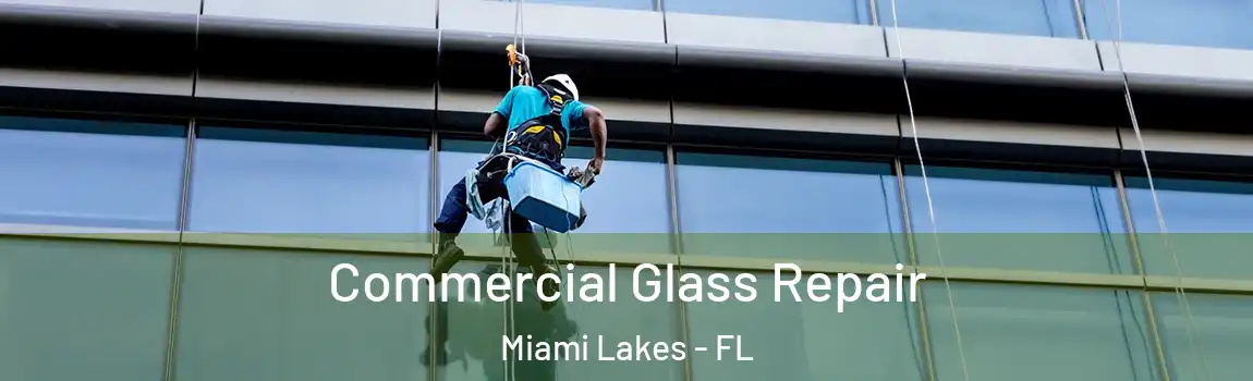 Commercial Glass Repair Miami Lakes - FL